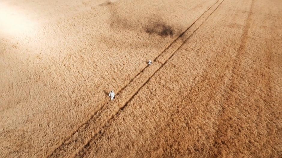 The colonist walks down a path in the field while the robots swarm above and one of the emoji-bots stands behind her.