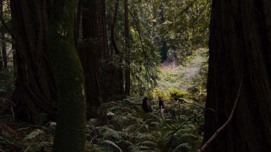 Amanita and Nomi continue to search through the woods.