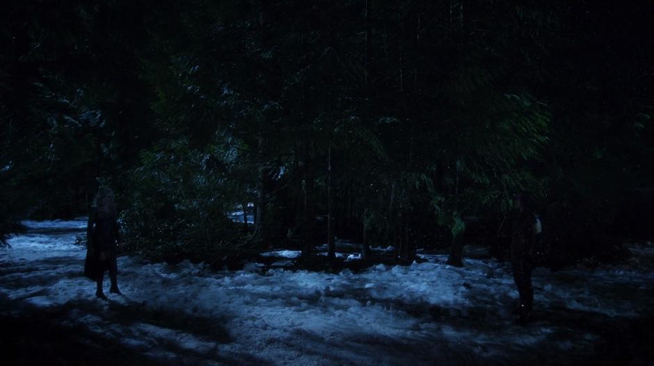 Caitlin and Cisco face off in the snowy forest.