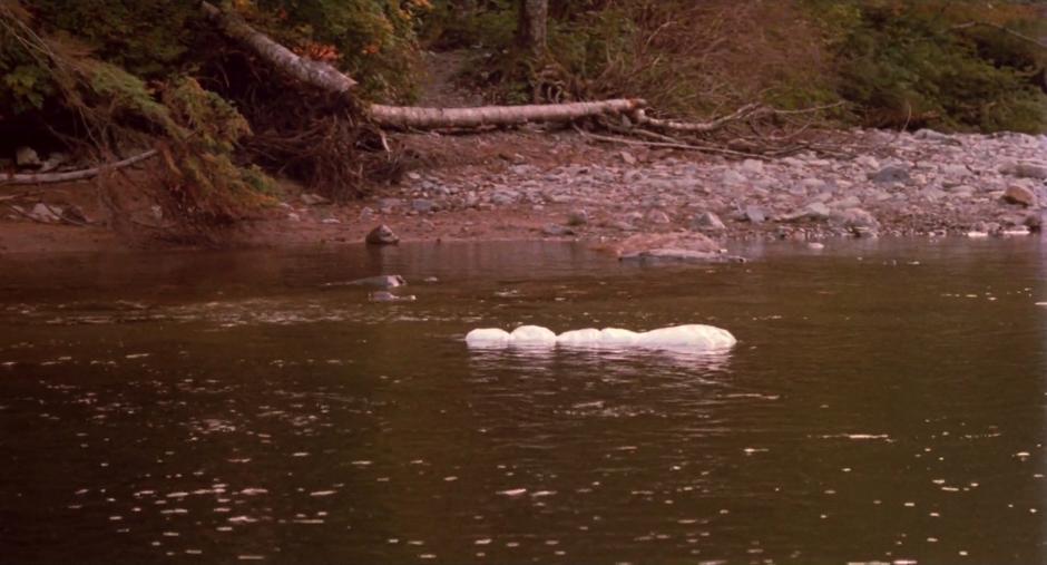 The body of Teresa Banks floats down the river wrapped in a sheet.