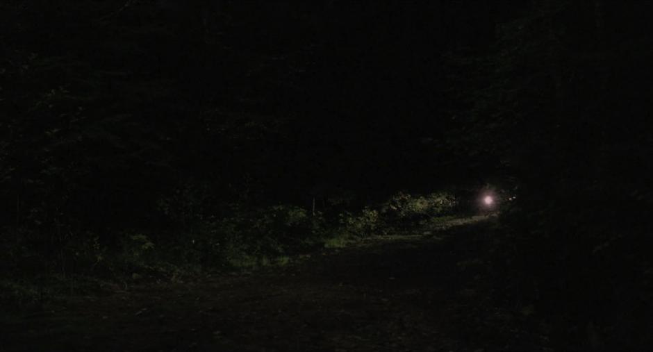 Bobby and Laura drive into the woods in the middle of the night.