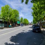 Photograph of 224 Street (between Dewdney Trunk & McIntosh).