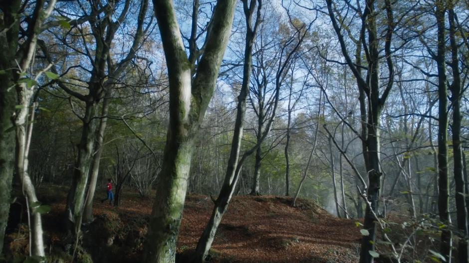 Bill wanders through the woods searching for the 9th Legion.