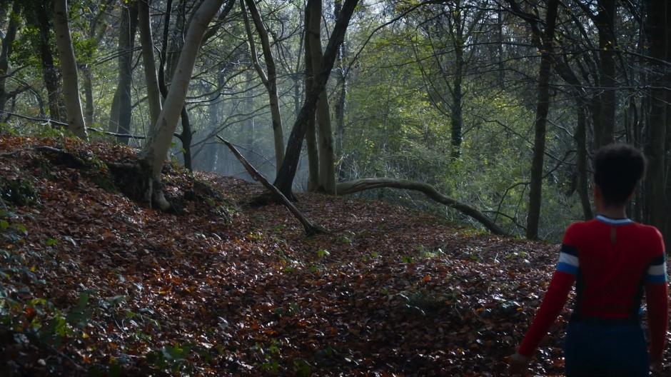 Bill walks down the hill towards smoke at the bottom.