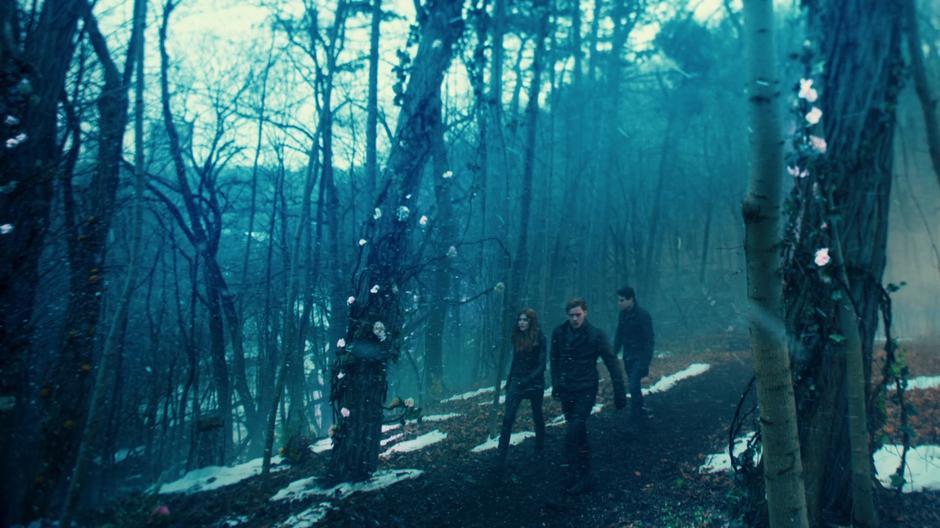 Clary, Jace, and Simon walk down a path along a ridge towards the court.