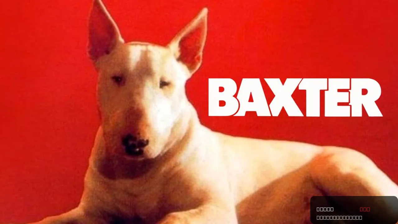 Baxter