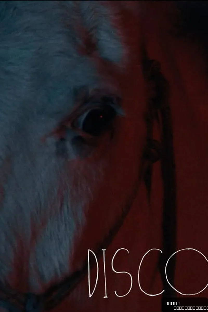 Disco