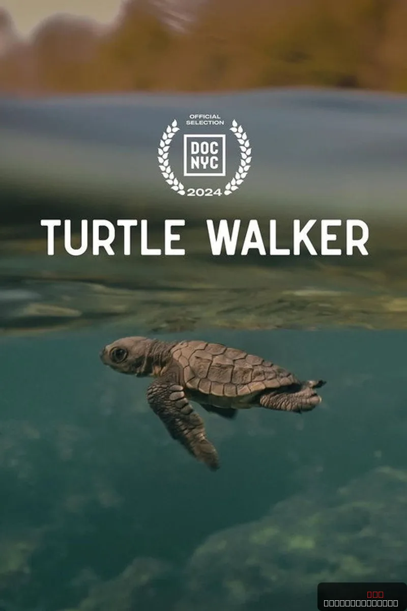 Turtle Walker