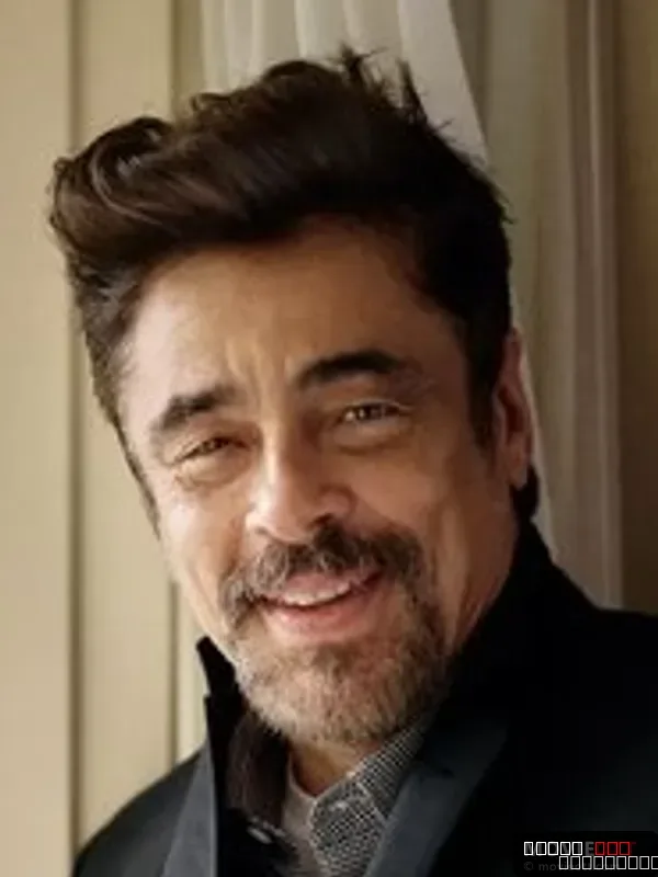 Benicio del Toro