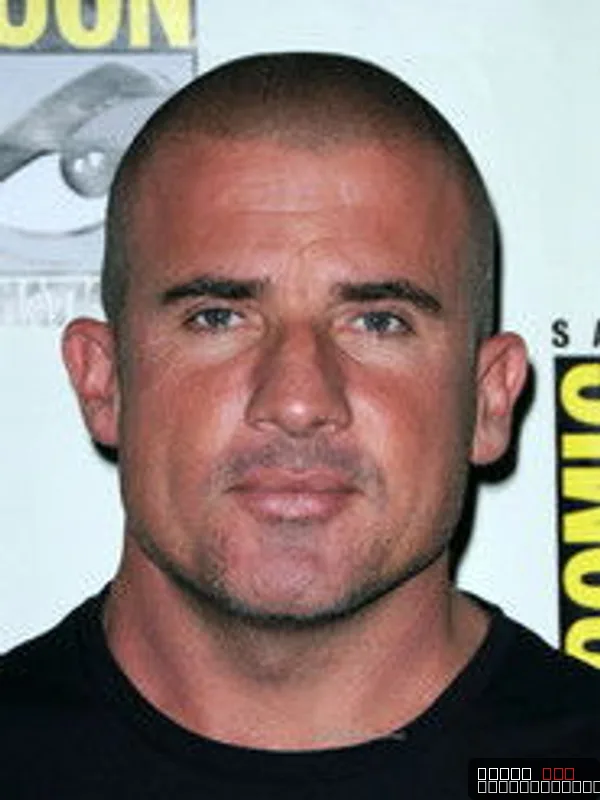 Dominic Purcell
