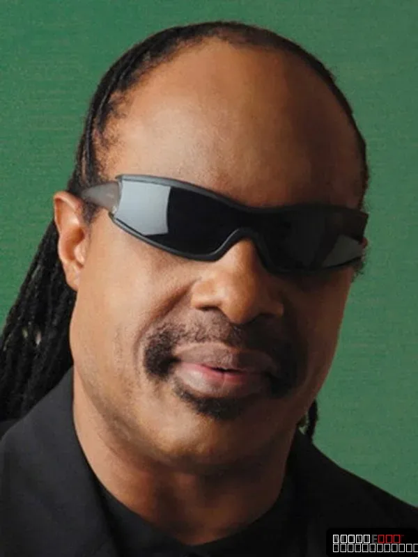 Stevie Wonder