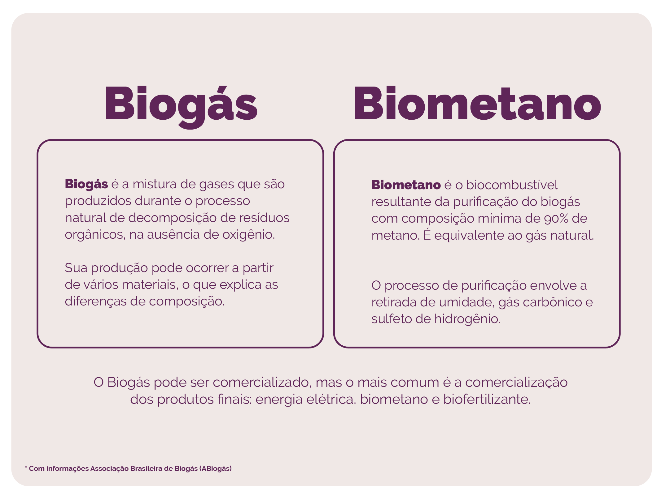 Biogás e seu papel na transição energética - Portal Energia e Biogás