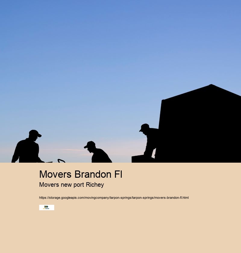 Movers Brandon Fl