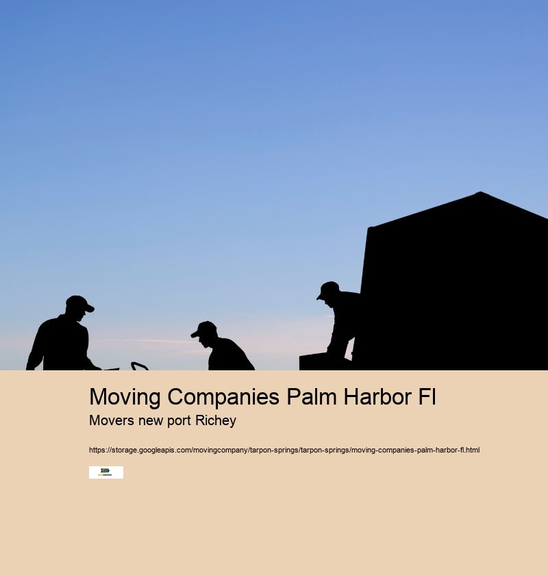 Moving Companies Palm Harbor Fl