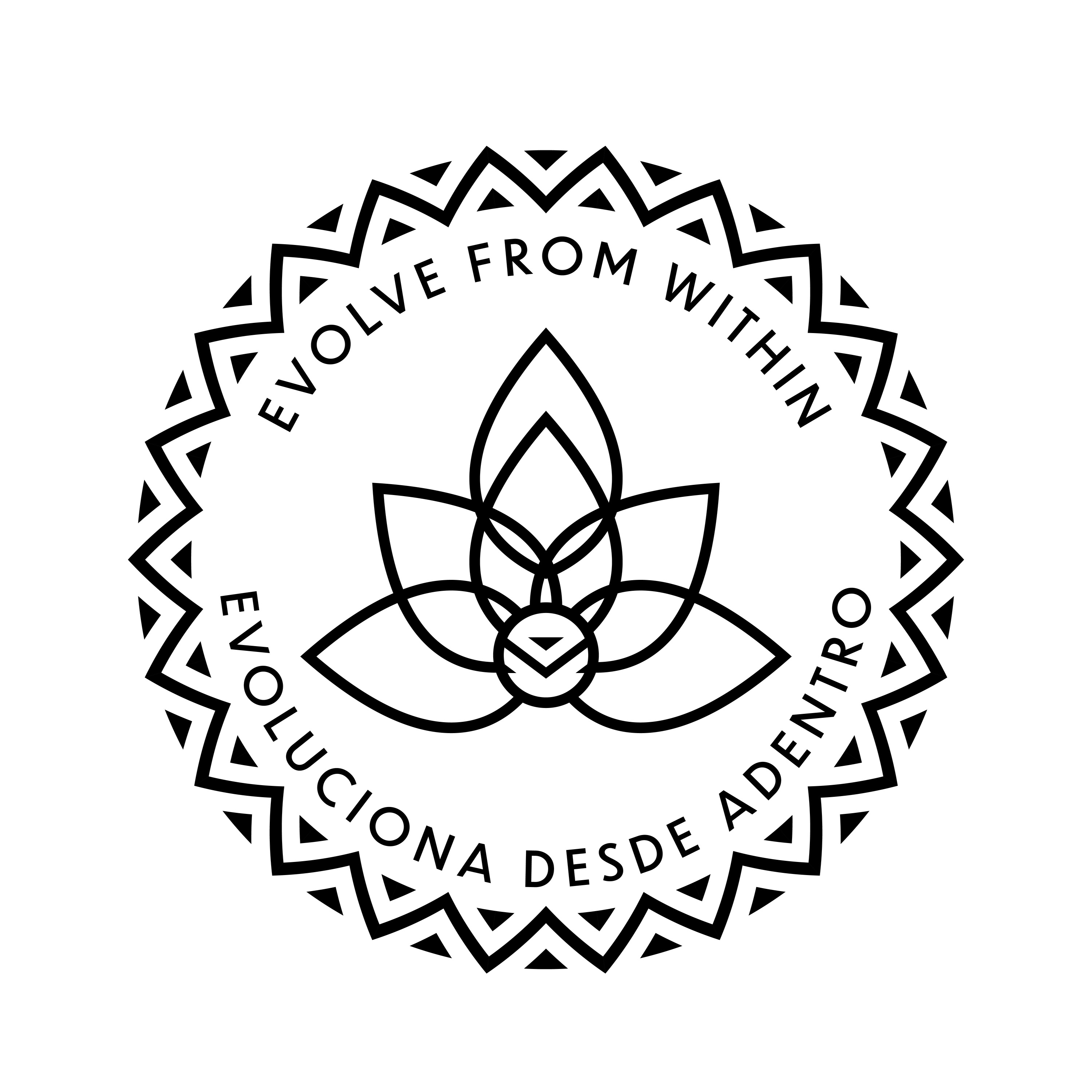 Evolve From Within LLC