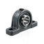 Cuscinetti montati SKF