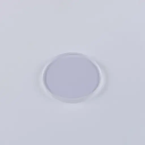 Product: D21.5 d2  protection glass