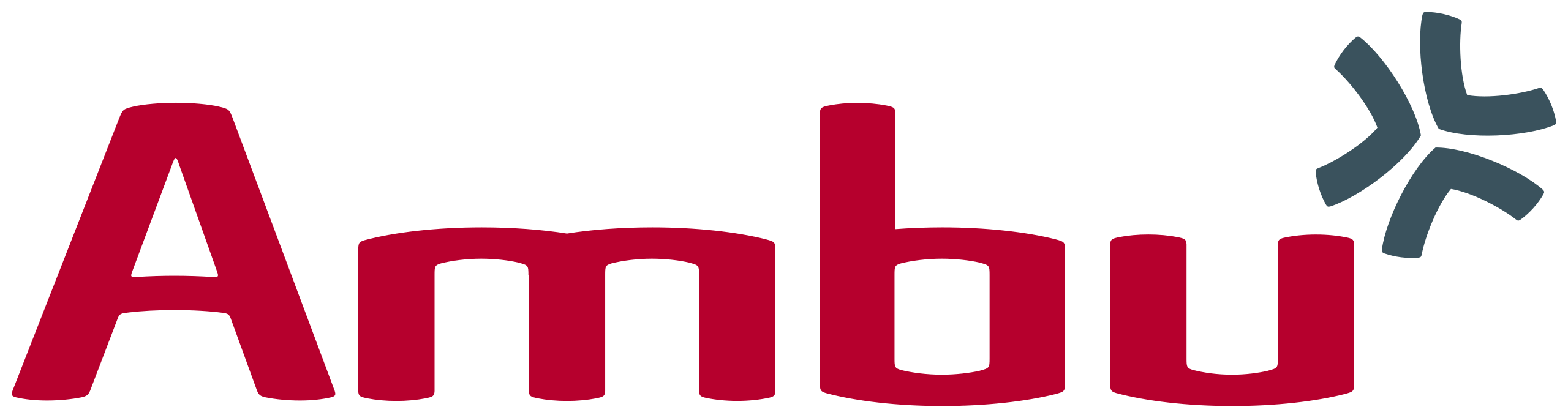 Ambu Ambu