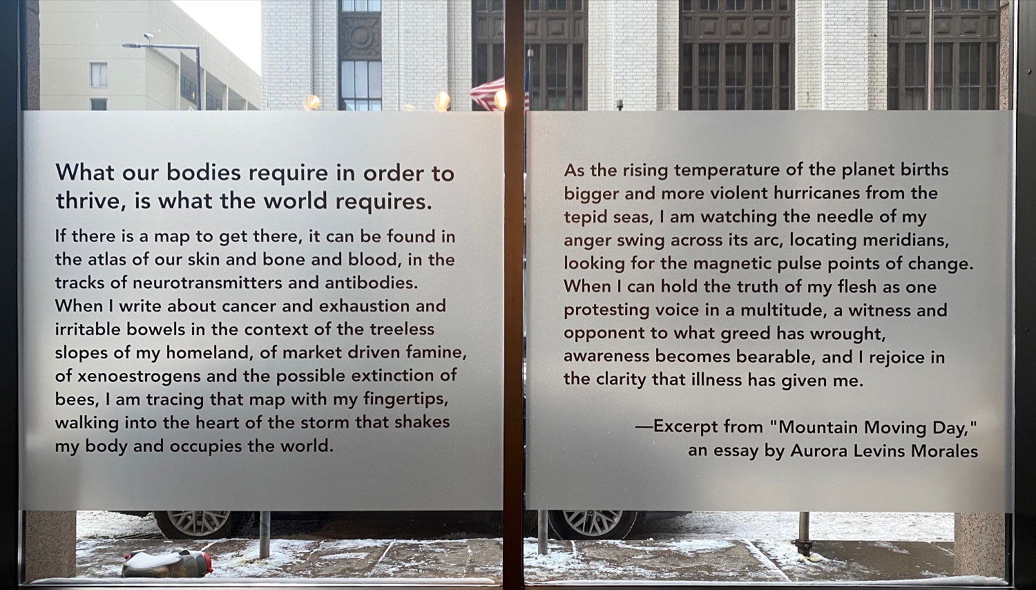 Two large window clings with an excerpt from an essay about illness and climate change