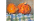 Lake Country Pastel Society: Annual Judged Exhibition Lake Country Pastel Society: Annual Judged Exhibition