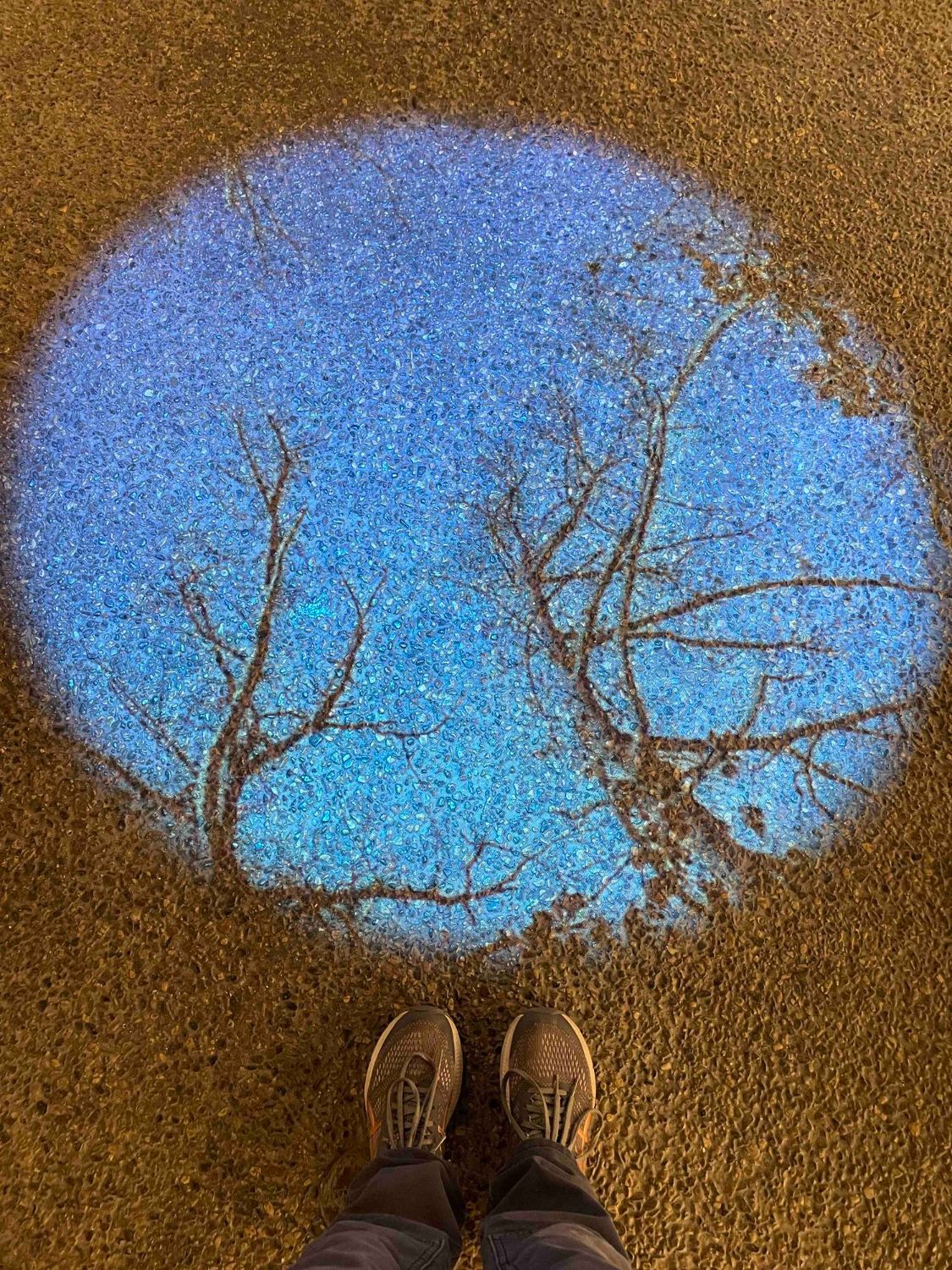 Looking down onto a person's feet in tennis shoes next to a circular projection of trees and blue sky onto the ground