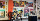 Calendula Gallery
