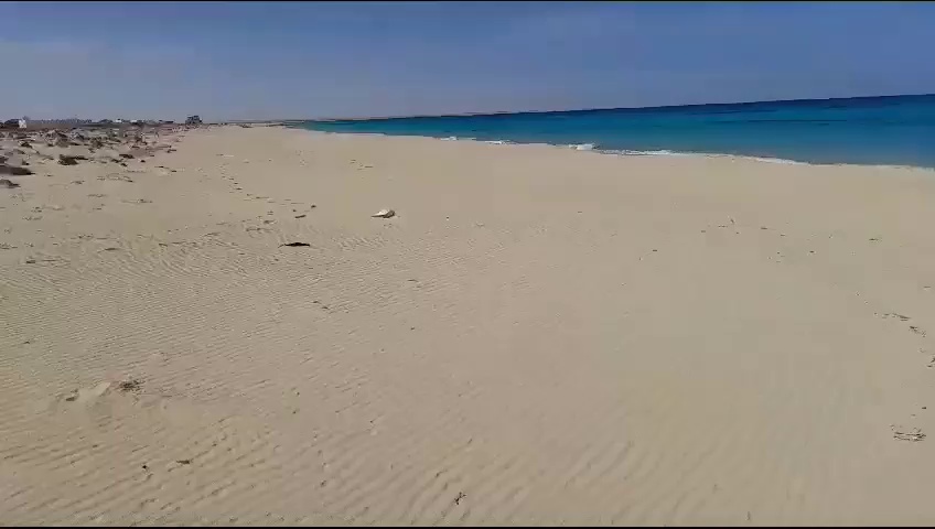 أرض للبيع بالساحل الشمالي 1200 فدان (30-012-1205)