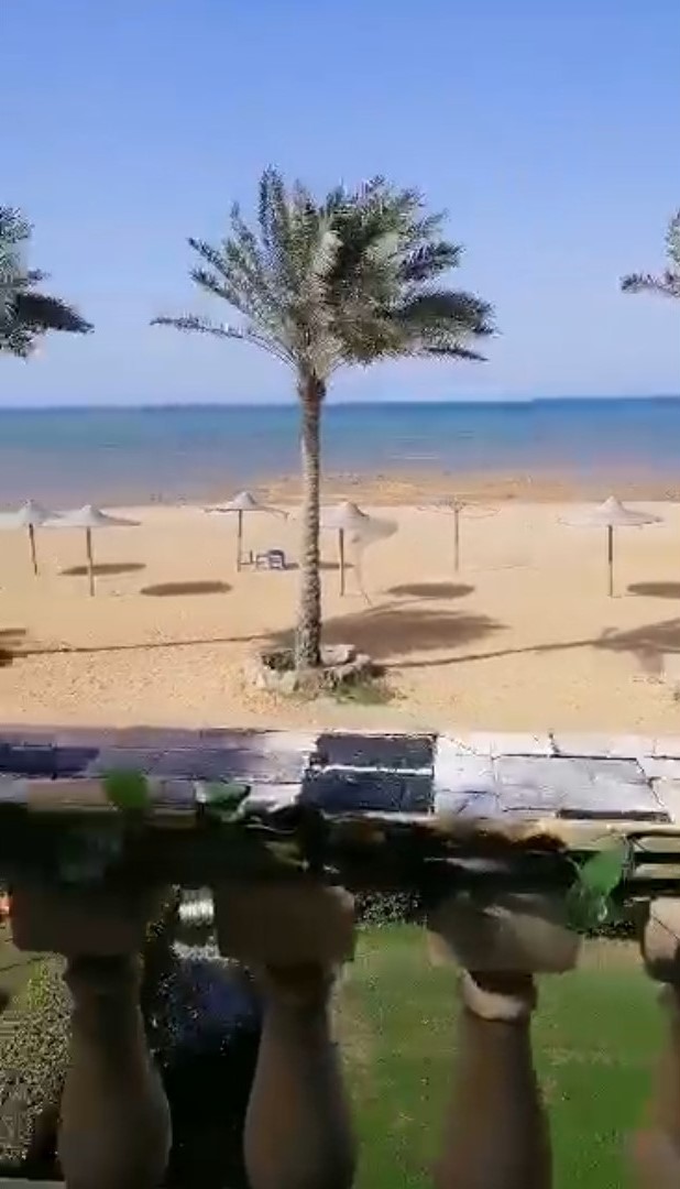 ميديا 3