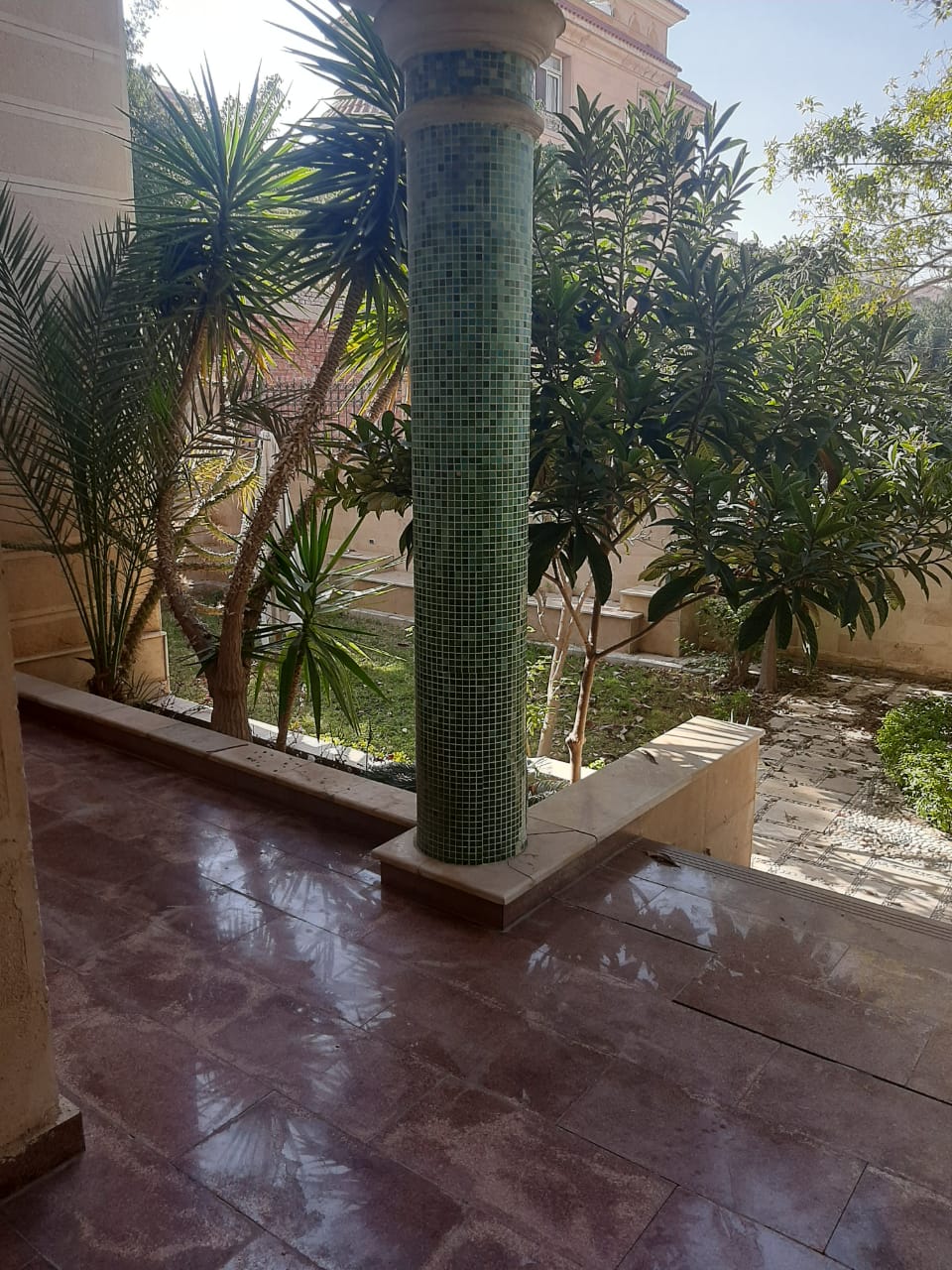 ميديا 12
