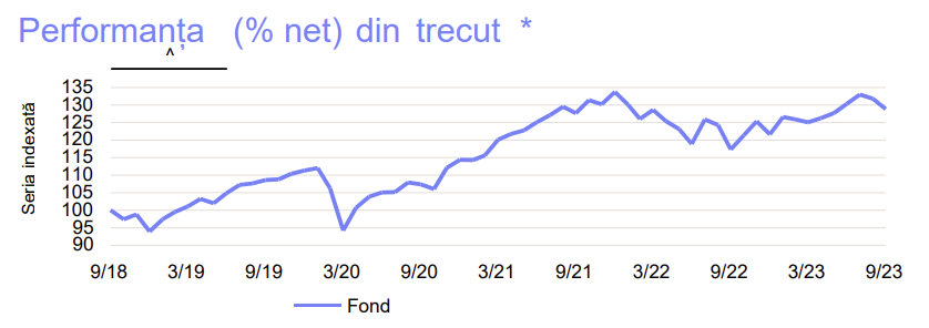 evolutie-goldman-sachs-ing-dinamic-ron