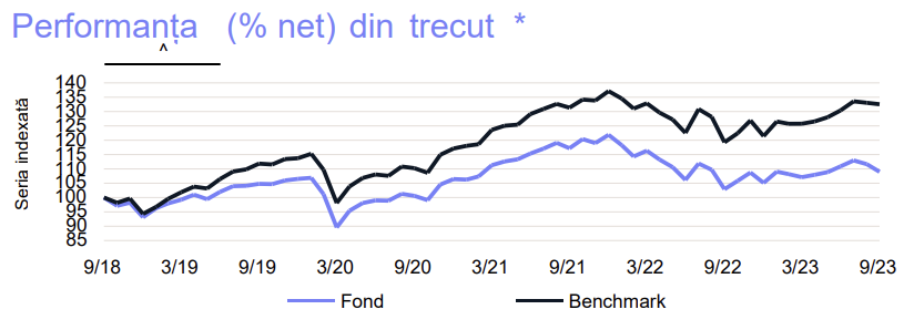 evolutie-goldman-sachs-ing-dinamic-eur