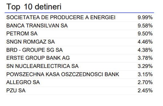 top-detineri-goldman-sachs-romania-equity-ron