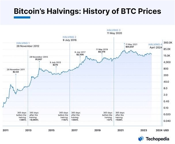 bitcoin halving