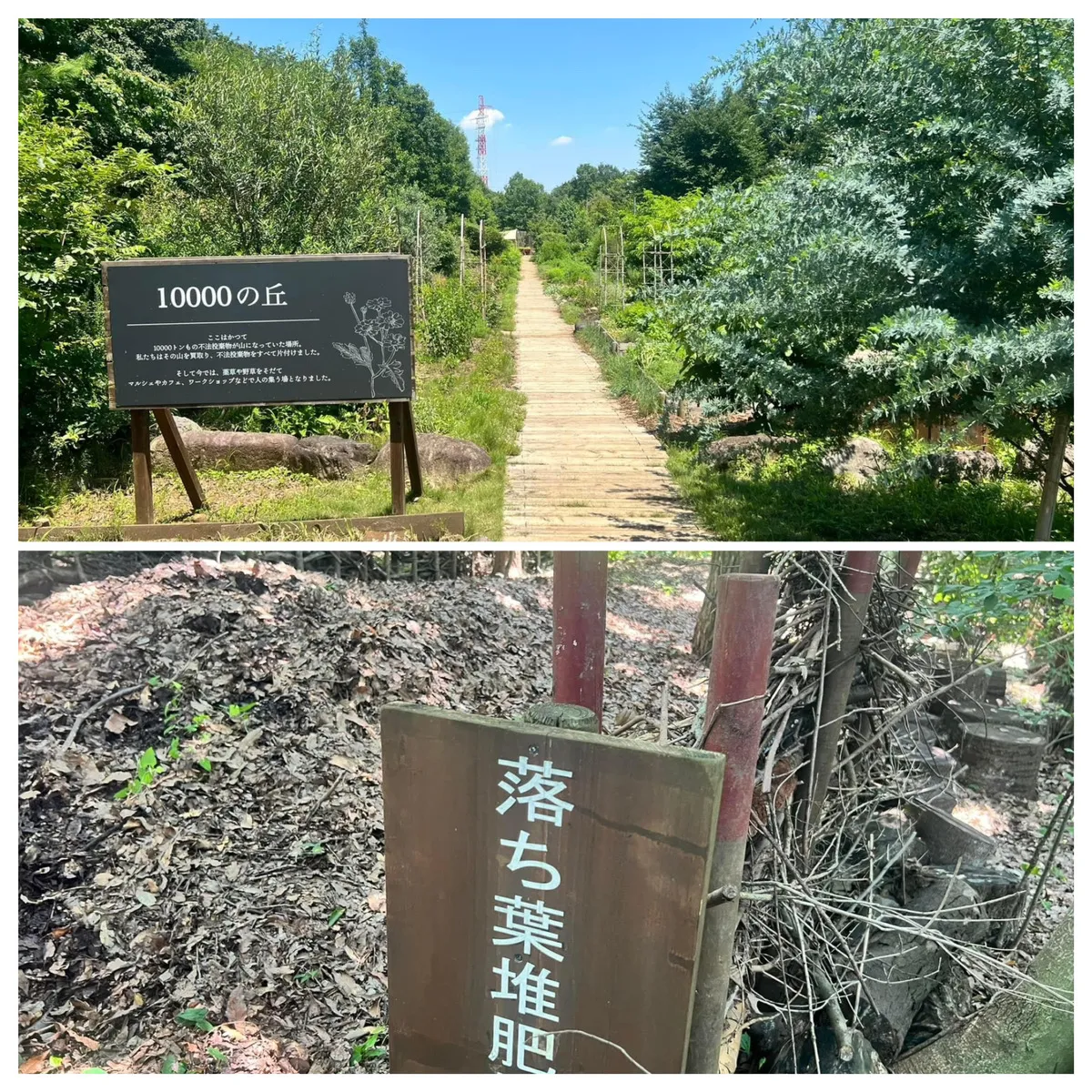 三富今昔村02