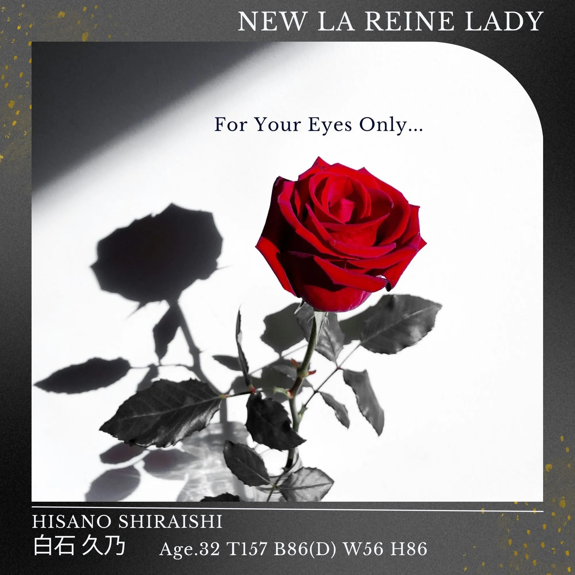 New La Reine Lady ”白石  久乃”