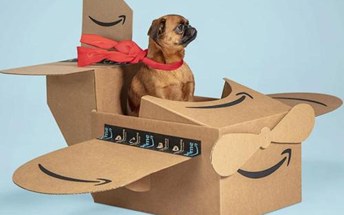 Amazon Pet Day