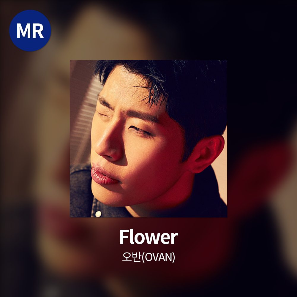 오반(OVAN) - Flower MR