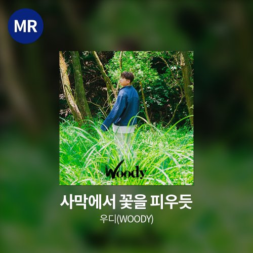 우디(Woody) - 사막에서 꽃을 피우듯 MR