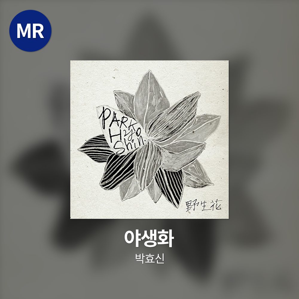 박효신 - 야생화 MR