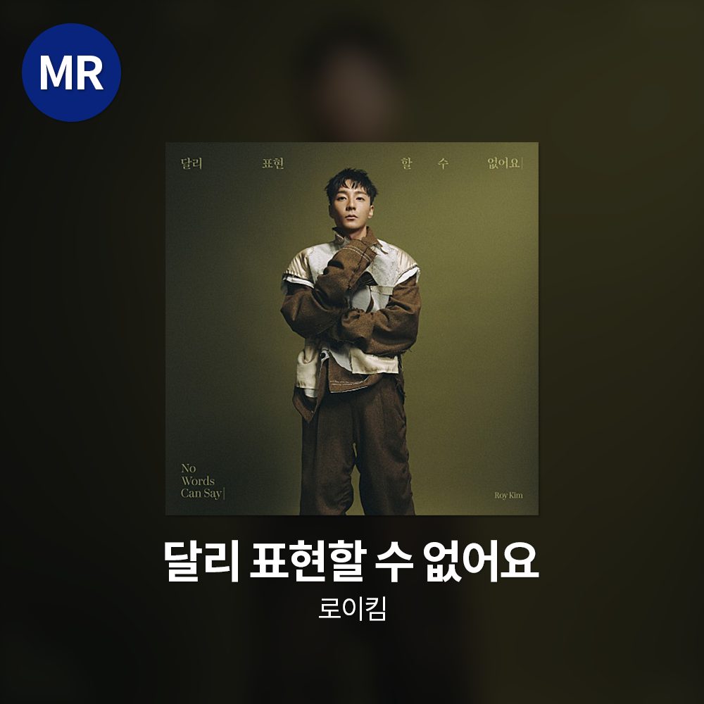 로이킴 - 달리 표현할 수 없어요 MR