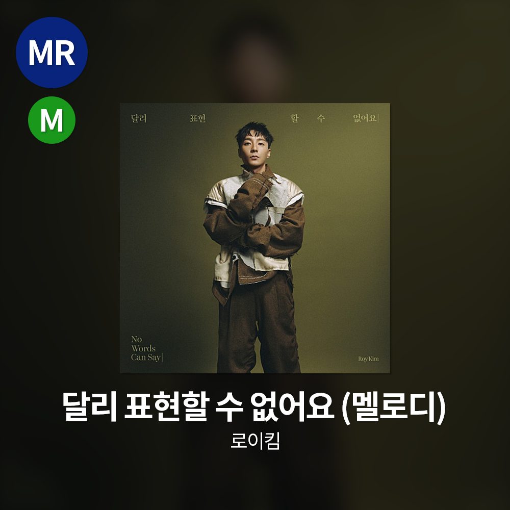 로이킴 - 달리 표현할 수 없어요 MR(멜로디)