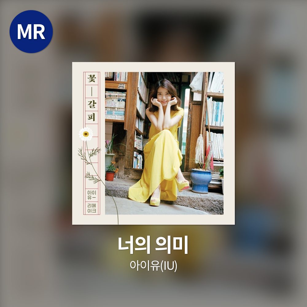 아이유(IU) - 너의 의미 MR