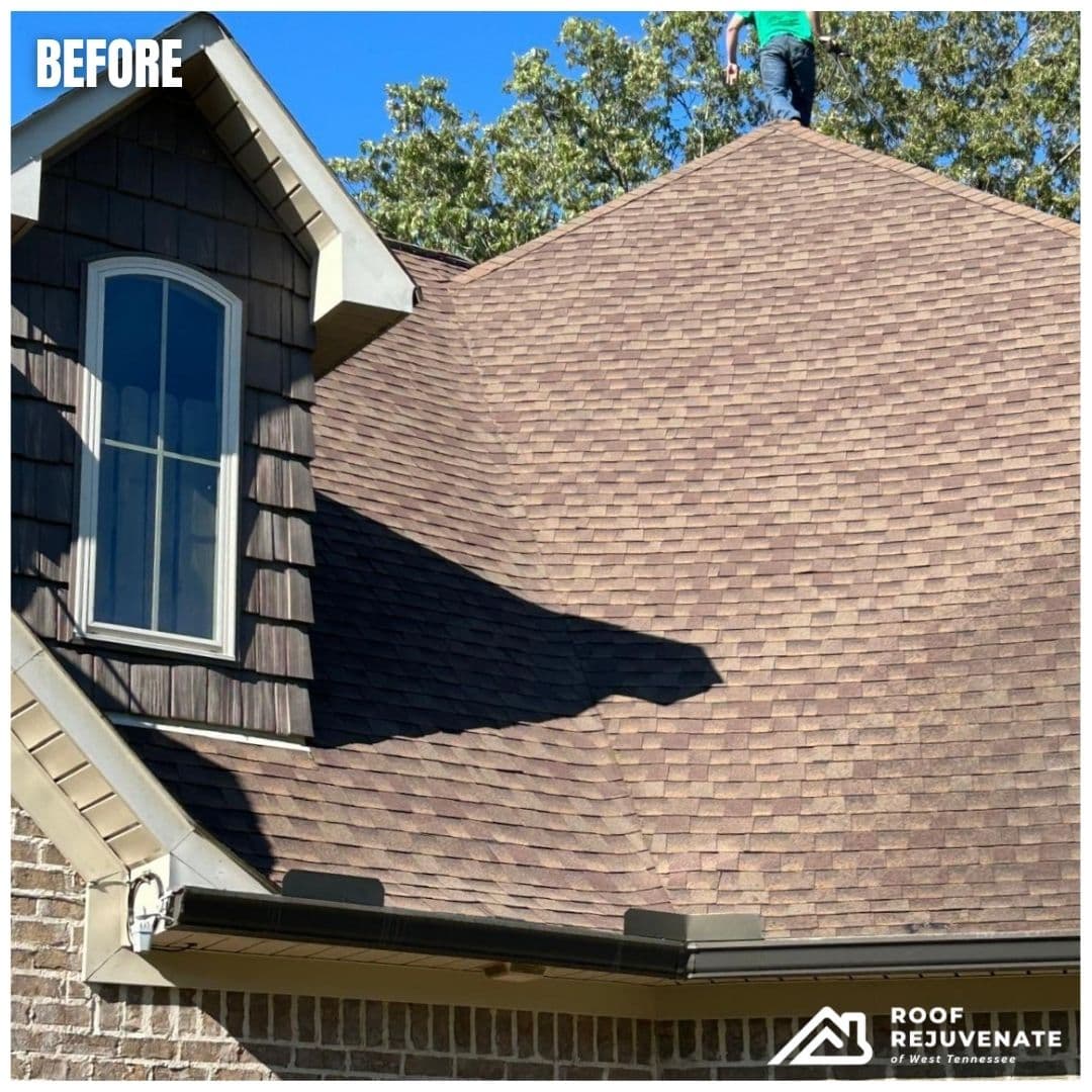 Humboldt, TN photo 1