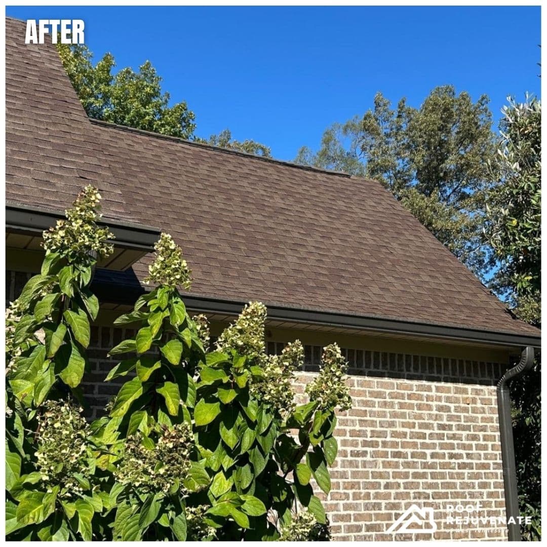 Humboldt, TN photo 3