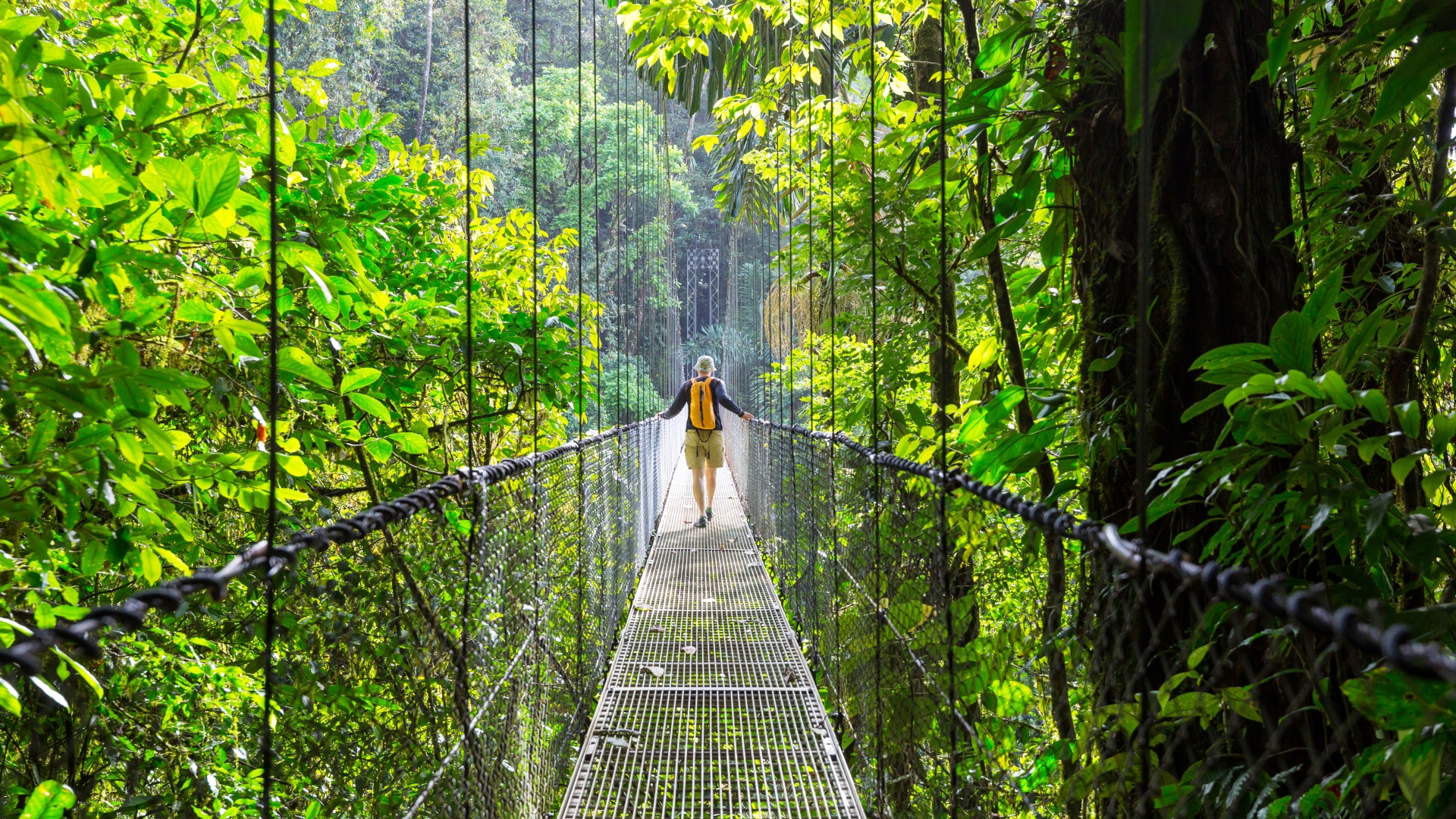 Solo Traveler Hanging Bridge Costa Rica Solo Traveler Hanging Bridge Costa Rica