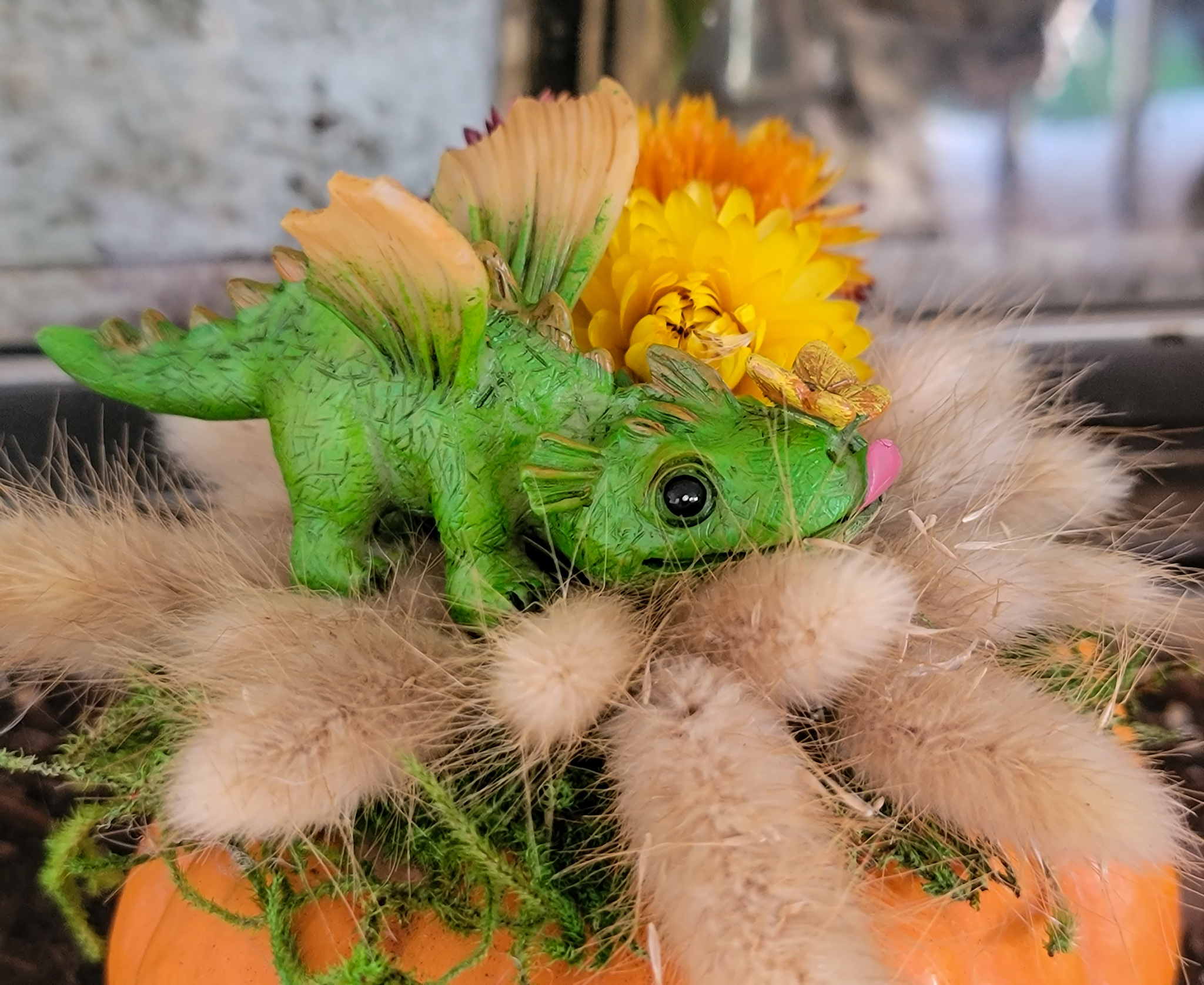 little dragon on dried flower pumpkin