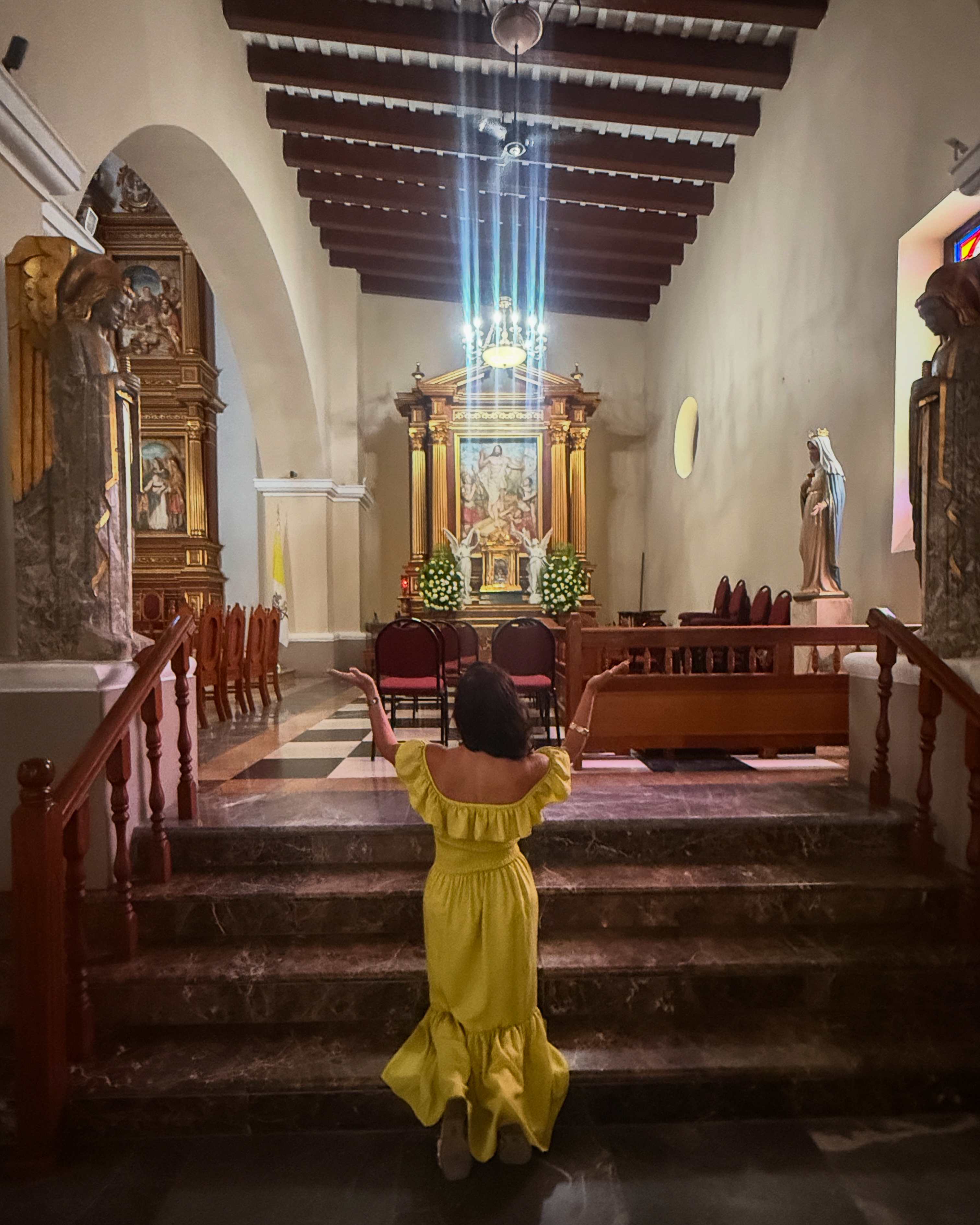 Penelope in contemplation