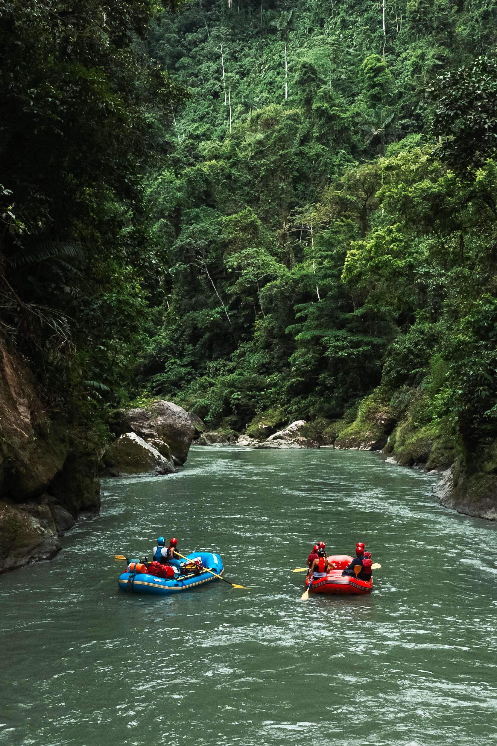 Luxury timber interior with warm dining space