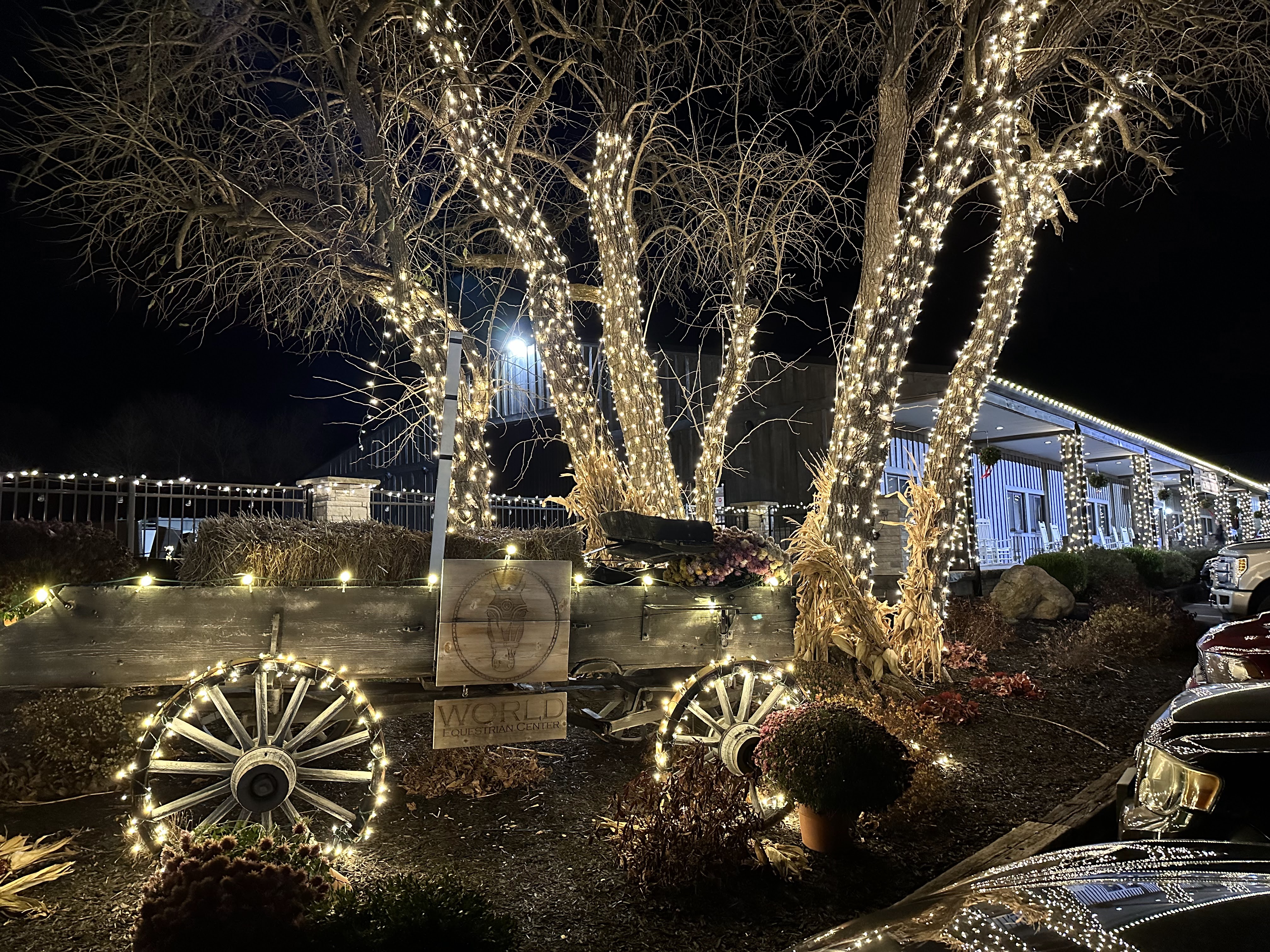Christmas Lights