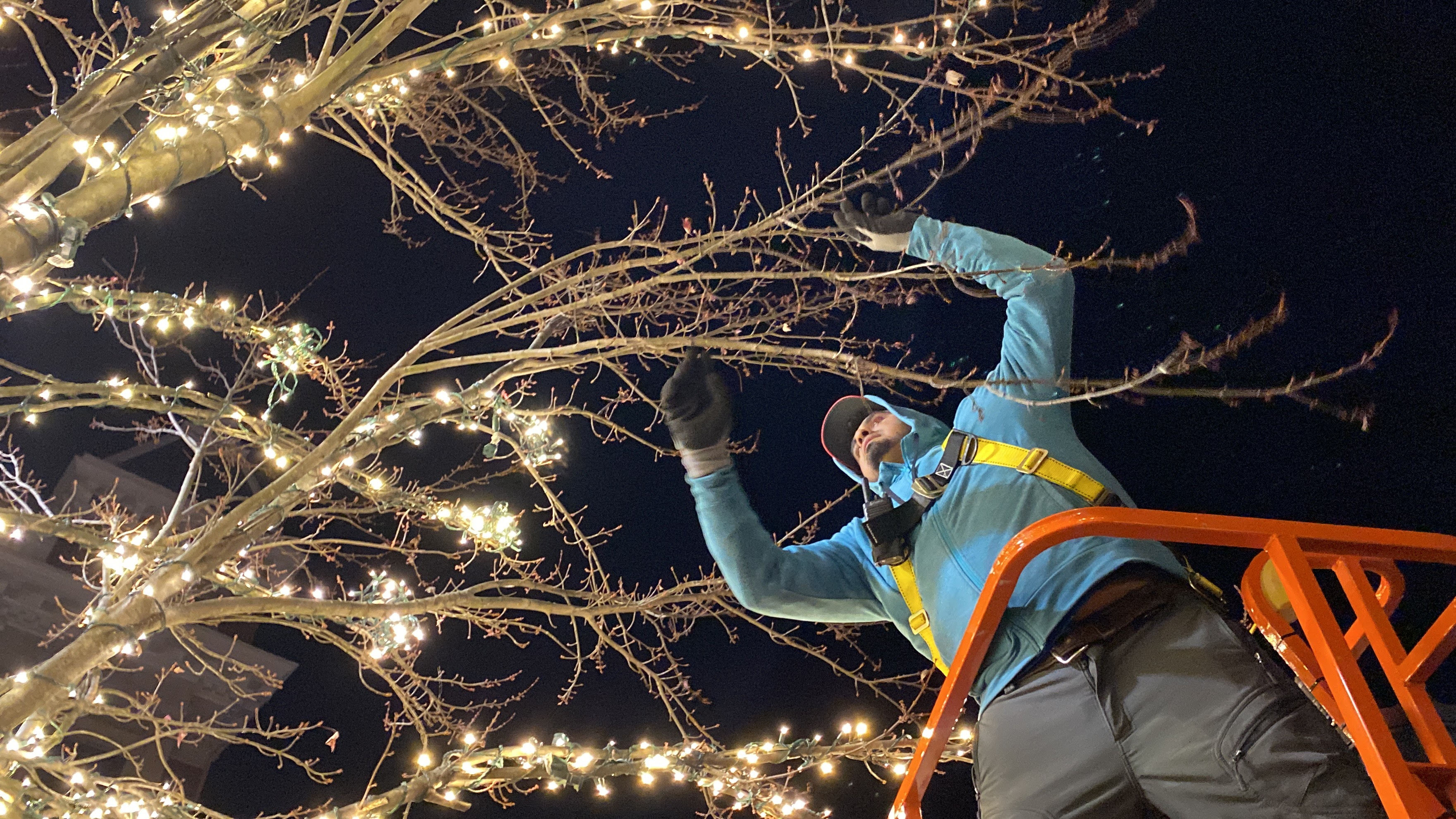 Christmas Lights